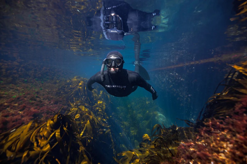 Dykker med snorkel i Norsk farvann